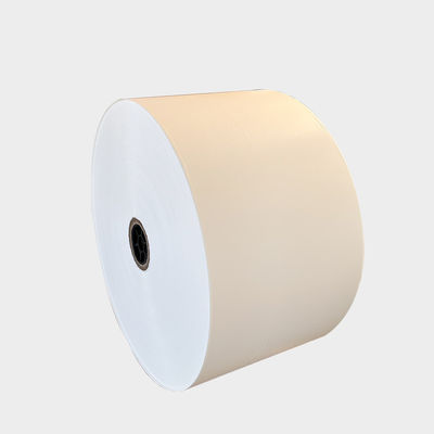 Carta da forno impermeabile non sbiancata Jumbo Roll per carta da pergamena Carta da imballaggio alimentare